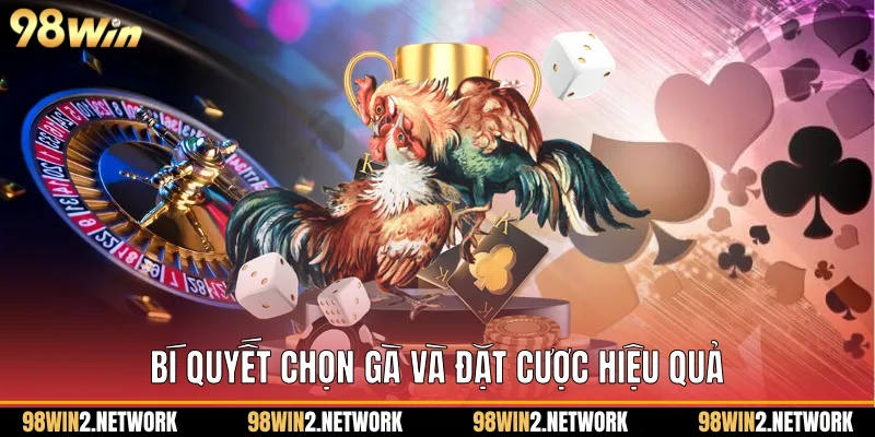 Bí quyết chọn gà và đặt cược hiệu quả