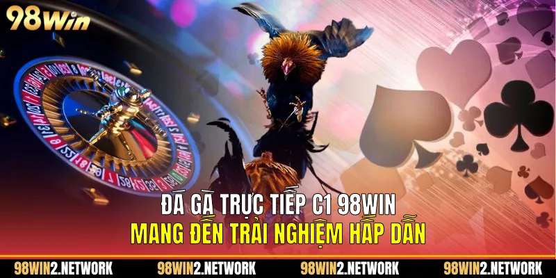 Đá gà trực tiếp C1 98Win mang đến trải nghiệm hấp dẫn