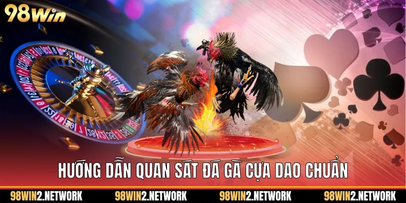 Hướng dẫn quan sát Đá gà cựa dao chuẩn