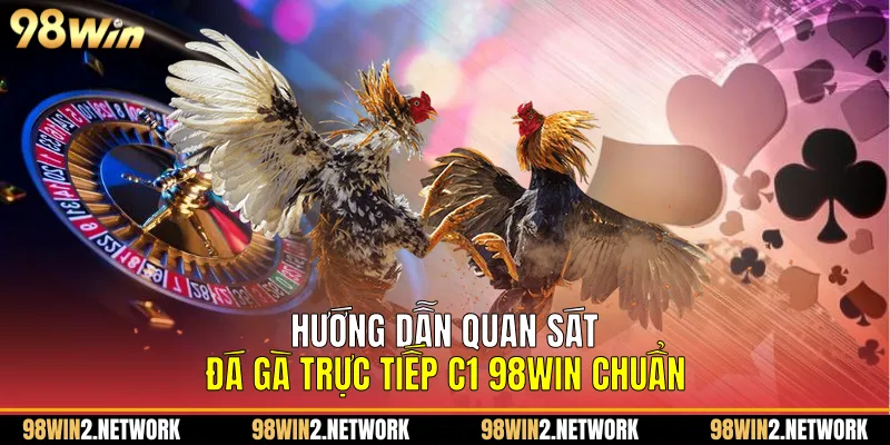 Hướng dẫn quan sát Đá gà trực tiếp C1 98Win chuẩn