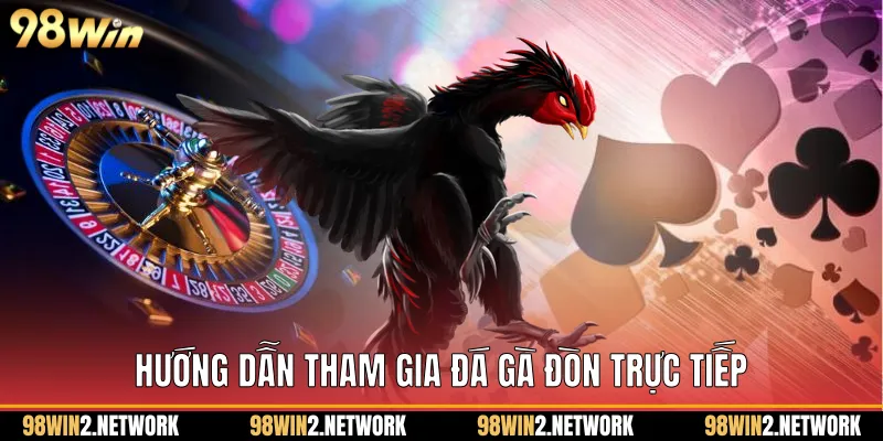  Hướng dẫn tham gia Đá gà đòn trực tiếp