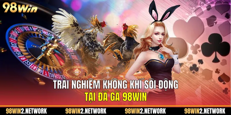 Trải nghiệm không khí sôi động tại Đá gà 98Win 
