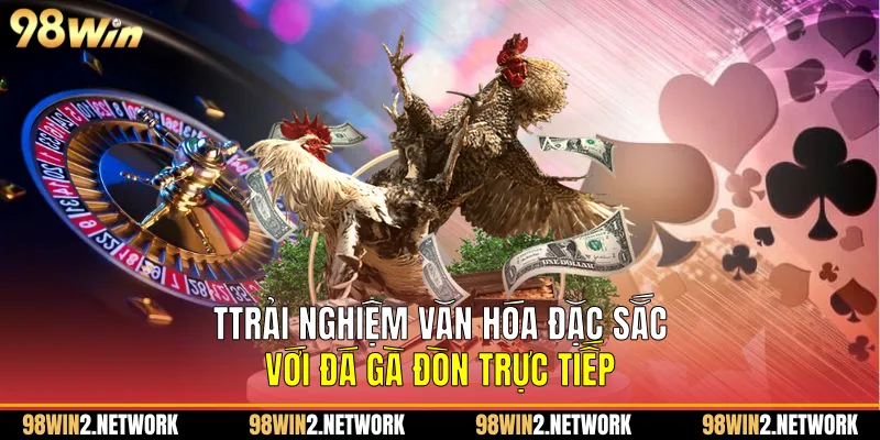 Ttrải nghiệm văn hóa đặc sắc với Đá gà đòn trực tiếp